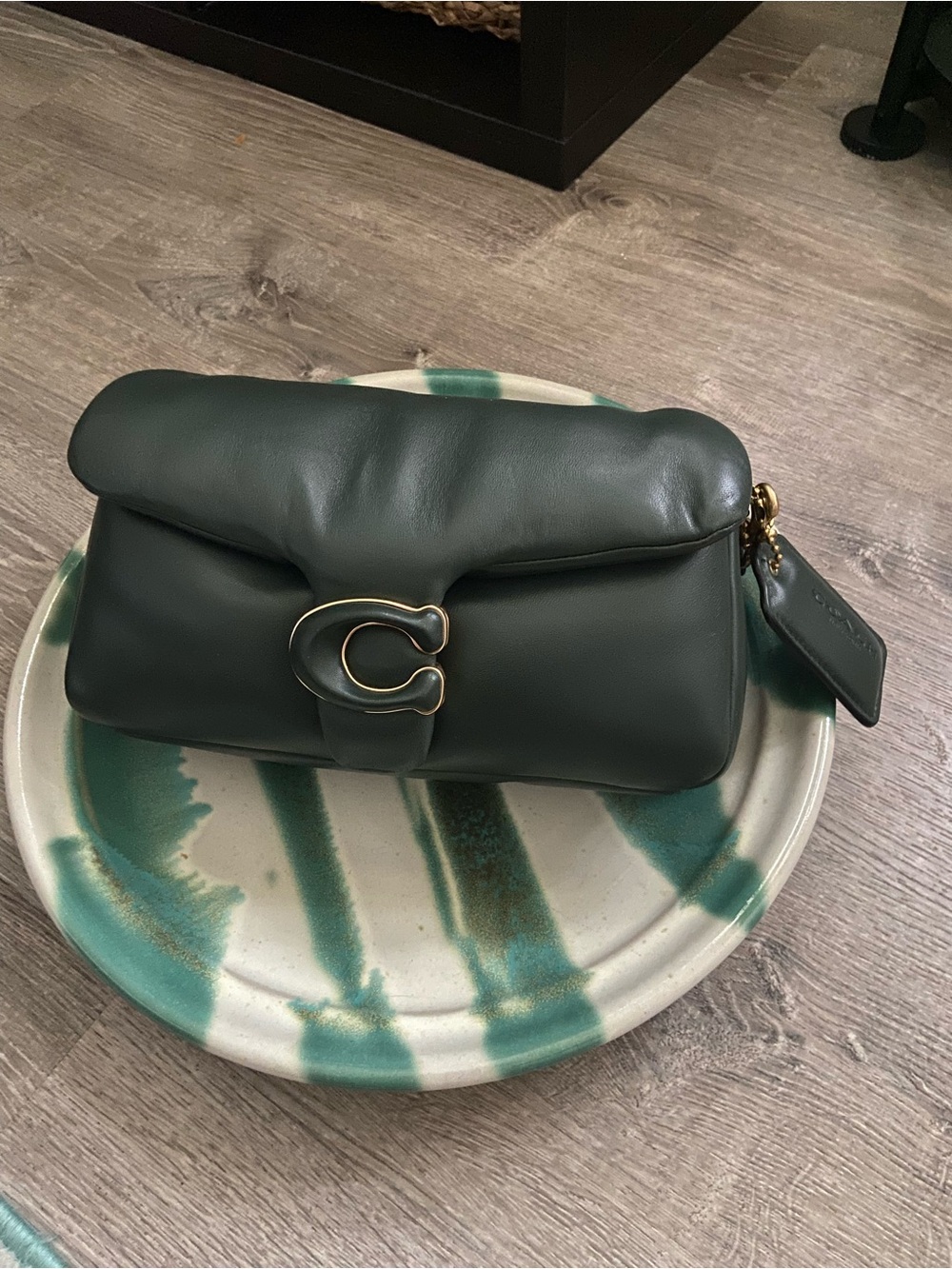 Coach Pillow Tabby 26 in Amazon Green